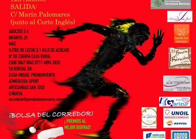 carrera san silvestre